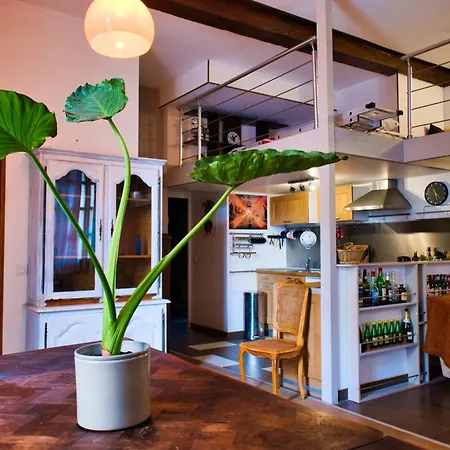 Apartament Comfortable And Spacious 69 M